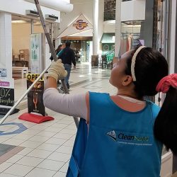 Anne-Marie-Dignon-Window-cleaning-6-1 Anne-Marie-Dignon-Window-cleaning-6-1