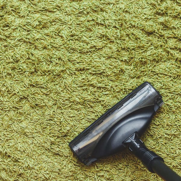 carpet2 carpet2